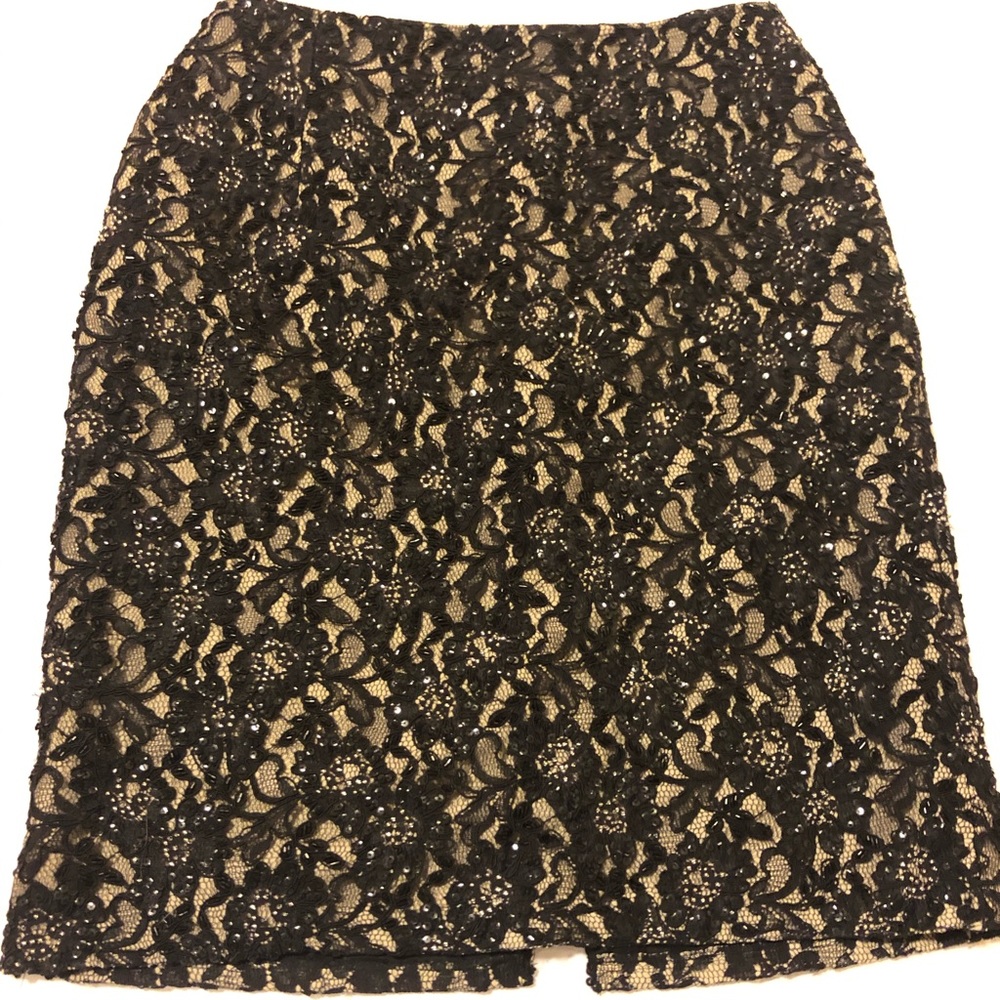 Ensembles Lace Skirt with Shine